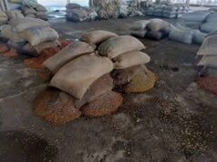 राजनांदगांव मंडी में जलभराव से हाहाकार, चबूतरों पर रखा धान भी भीगा