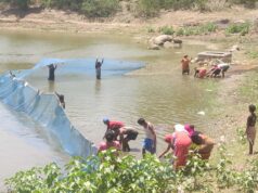 मत्स्य पालन बना ग्रामीण समृद्धि का सशक्त माध्यम