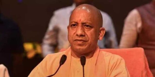 Yogi_03-13.jpg