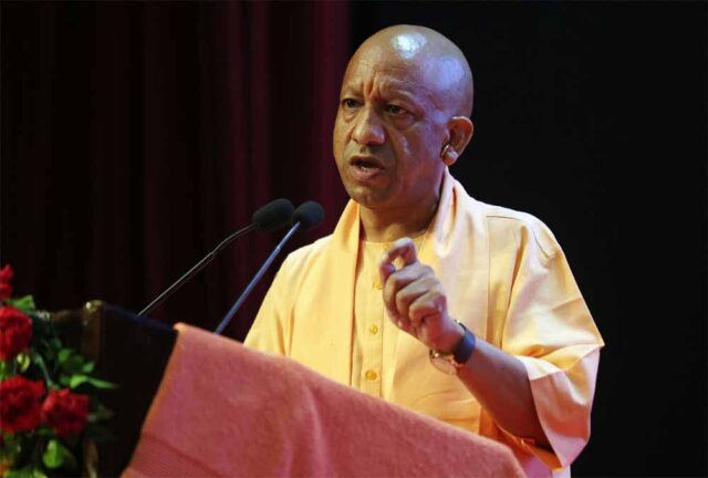 Yogi_jpg_03-1.jpg