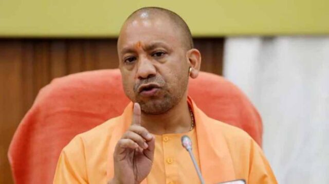 yogi_06-1.jpg