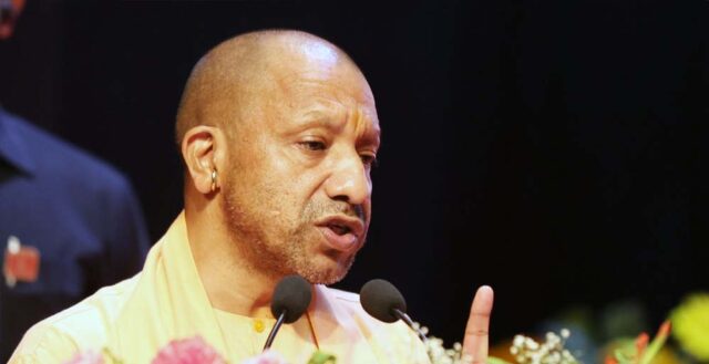 yogi_0_2_1-9.jpg