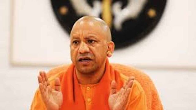 yogi_5-1.jpg