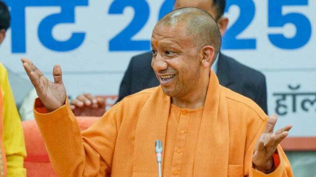 yogi_5-7.jpg