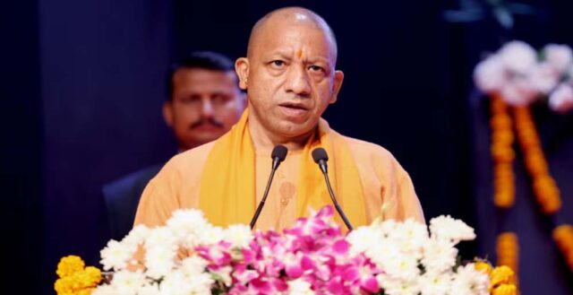 yogi_A_14_2.jpg
