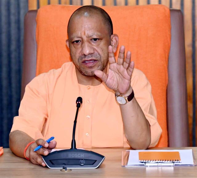 yogi_cm-1.jpg
