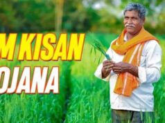 पीएम किसान की अगली किस्त पर बड़ा अपडेट, जानें कब खाते में आएंगे पैसे
