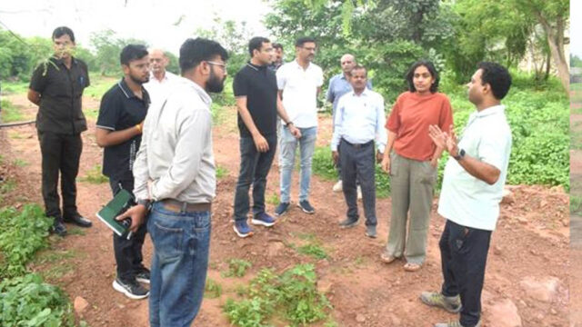 15A_9.jpg