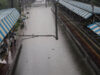 Mumbai Rain Alert: नहीं थम रही बारिश, अंधेरी सबवे बंद, ठाणे समेत कई इलाकों के लिए IMD का अलर्ट