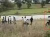 बड़वानी में युवती को 25-30 युवक बाइक पर उठाकर ले गए! वायरल VIDEO से हड़कंप, जांच में ‘देजा’ प्रथा का एंगल