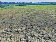 बस्तर संभाग में बारिश की बेरुखी से बढ़ी सूखे की चिंता, किसान परेशान