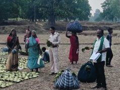 तेन्दूपत्ता संग्राहकों के खातों में पहुंचने लगी बोनस राशि