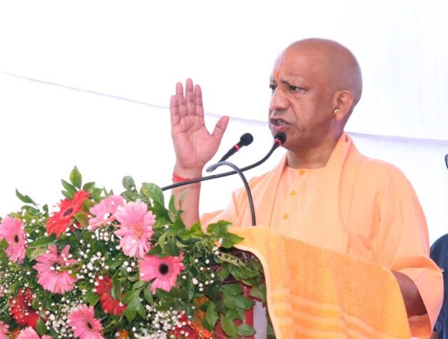 Yogi_02-5.jpg