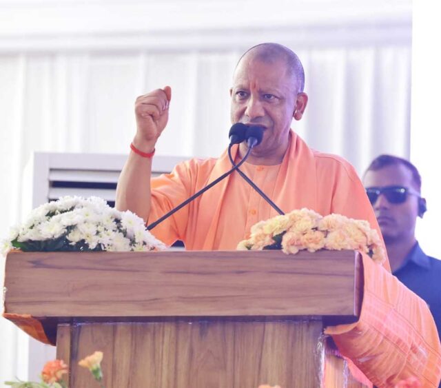 Yogi_07-13.jpg