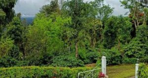 प्राकृतिक सौंदर्य, कॉफी बागानों और जनजातीय संस्कृति की अनूठी पहचान है बैतूल का कुकरू खामला