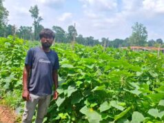 उद्यानिकी विभाग की योजना से बदली कमार कृषक की तकदीर