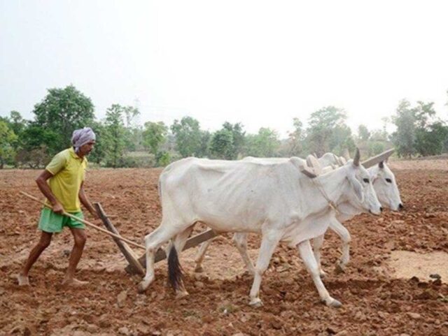 kISAN_01.jpg