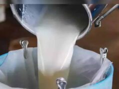 योगी सरकार की योजना से बदली किस्मत, डेयरी से सालाना हो रही 20 लाख की कमाई