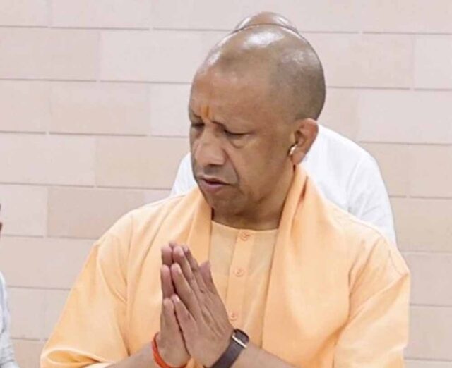 yogi_07-3-1.jpg