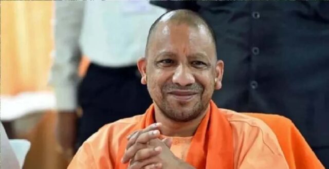 yogi_2_27_2-7.jpg