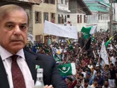 पीओके में हिंसा के बाद बैकफुट पर PML-N, प्रदर्शनकारियों से बातचीत को तैयार शहबाज सरकार