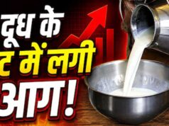 त्योहारों से पहले महंगाई का झटका! दूध के दाम सीधे ₹9 बढ़े, जानें नई कीमतें कब से लागू