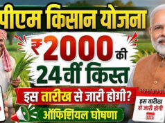 PM Kisan 24th Installment: 24वीं किस्त पर बड़ा अपडेट, जानें किसानों के खाते में कब आएंगे ₹2,000