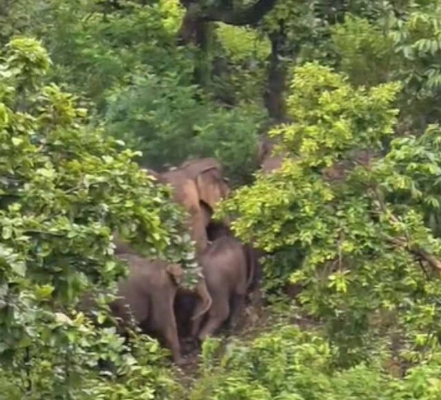 Chhattisgarh_News_04-2-12.jpg