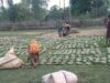 तेन्दूपत्ता संग्रहण की नई पहल से अबुझमाड़ के 22 गांवों को मिला लाभ