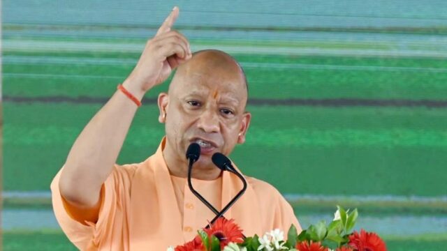 cm_yogi_11-10.jpg