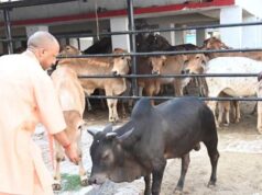 सीएम योगी की गोसंरक्षण नीति का असर : करोड़ों कमा रहे युवा, बढ़ रहा रोजगार