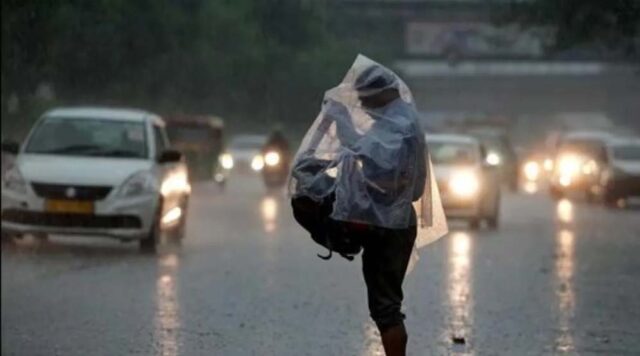 rain_81_4.jpg