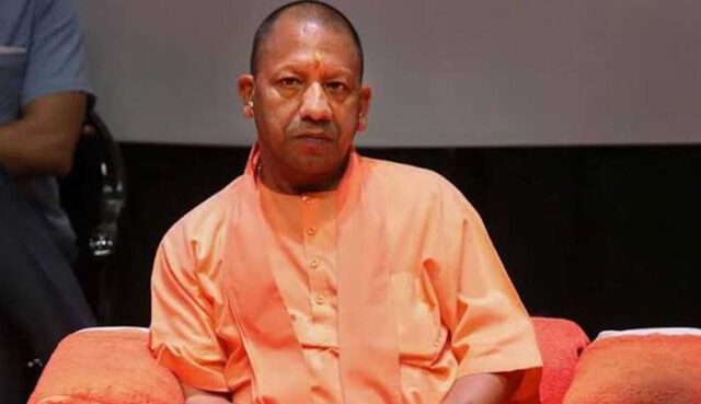 yogi_02-10.jpg