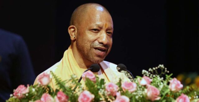 yogi_0_2_3-3.jpg