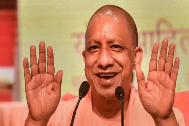 yogi_cm_132_5-1.jpg