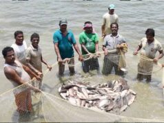 प्रधानमंत्री मत्स्य संपदा योजना ने बदली किसानों की किस्मत, मछली पालन बना अतिरिक्त आमदनी का मजबूत जरिया