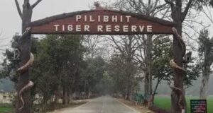 पीलीभीत टाइगर रिजर्व में घूमना हुआ महंगा, शनिवार-रविवार टिकट 150 से बढ़कर 200 रुपये