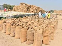 सुकमा में खुलेंगे 6 नए धान खरीदी केंद्र, किसानों को मिलेगी बड़ी सुविधा