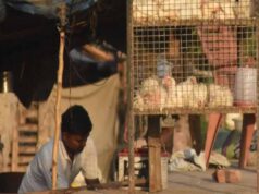 CG में 5 दिन मांस-मटन की बिक्री पर रोक, उल्लंघन करने वालों पर होगी सख्त कार्रवाई