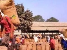खेत से बाजार तक बदलेगा किसानों का सफर, ट्रेड शो में ब्रांडिंग और डिजिटल बिक्री का मंत्र