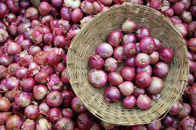 onion_7_4.jpg