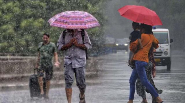 rain_81_3-2.jpg