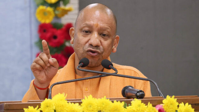 yogi_133_6-1.jpg