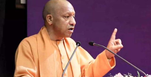 yogi_2_27_1-20.jpg