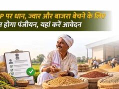 धान, ज्वार और बाजरा उपार्जन के लिए रिकॉर्ड पंजीयन, 10 अक्टूबर तक मिलेगा मौका