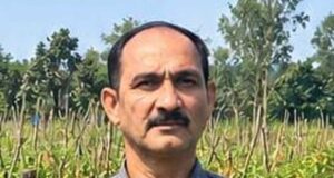 उन्नत टमाटर की खेती से शाहिद की मेहनत लाई रंग, 2 एकड़ में कमाए 1.20 लाख रुपये